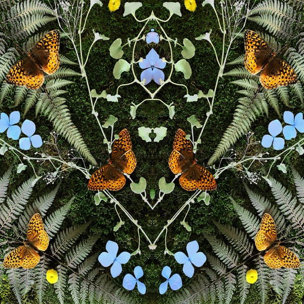 Amour album cover