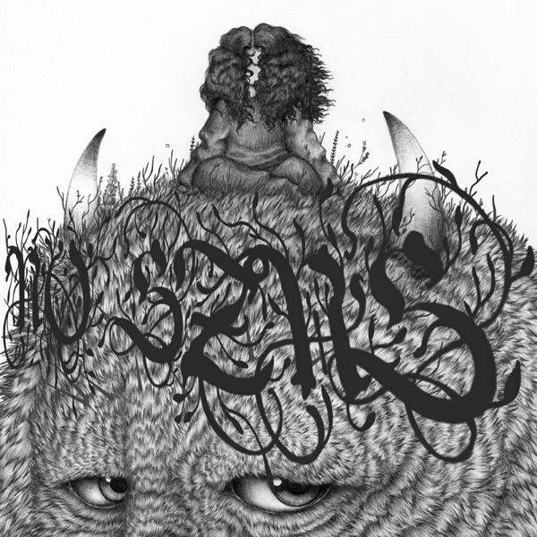 NO SZNS album cover