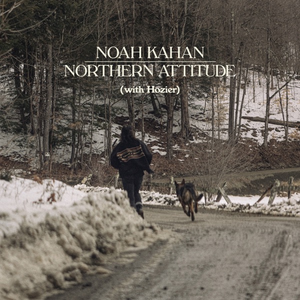 Northern Attitude album cover
